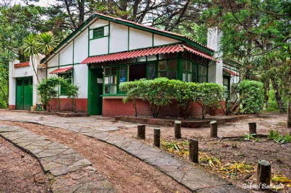 El Vivero Municipal Cosme Argerich de San Clemente lanzó una campaña solidaria