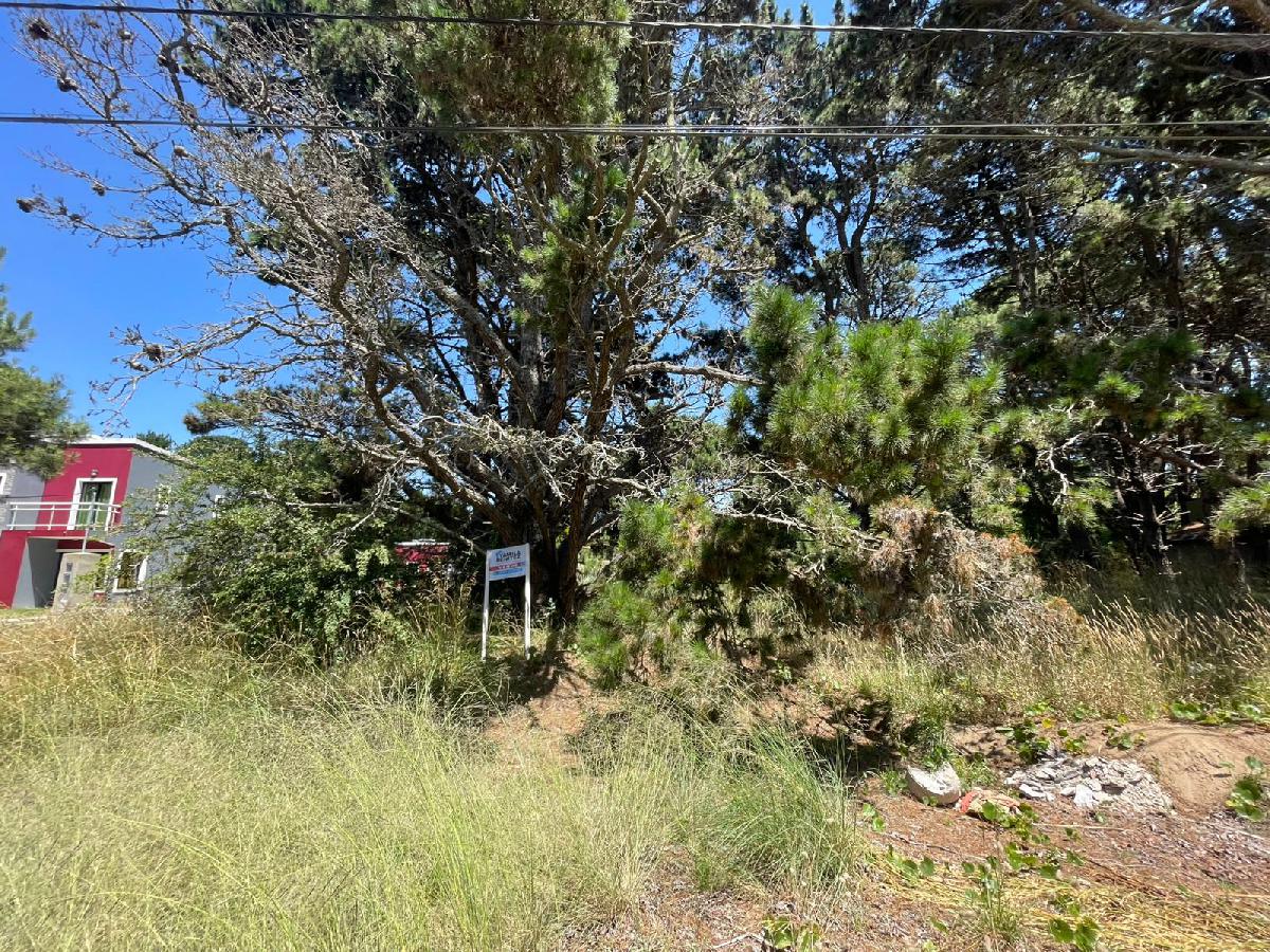 LOTE DE (704 m�) EN ZONA COMERCIAL