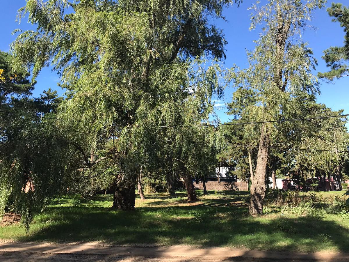 EXCELENTE LOTE DE (555 M�)