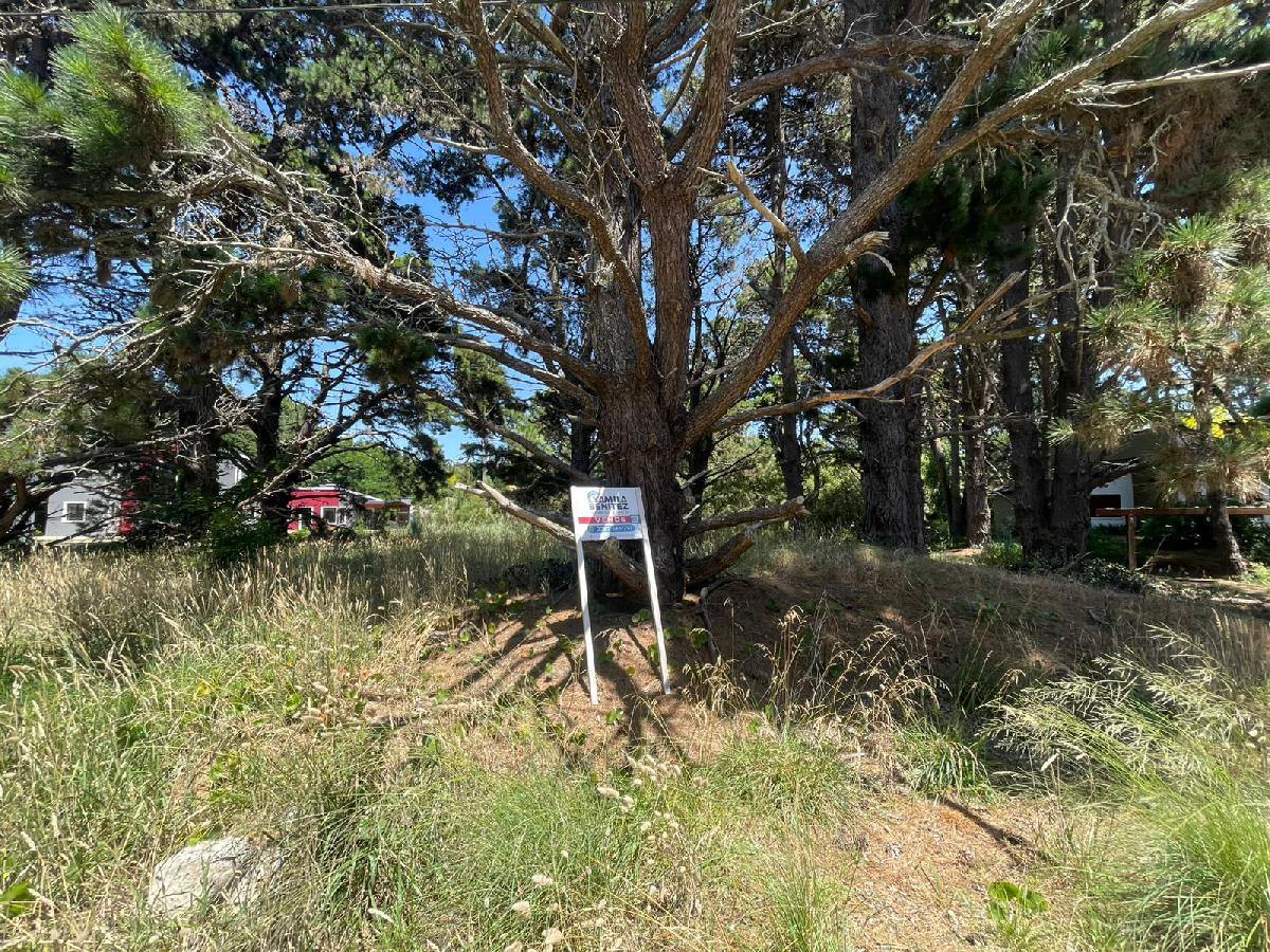 LOTE DE (704 m�) EN ZONA COMERCIAL