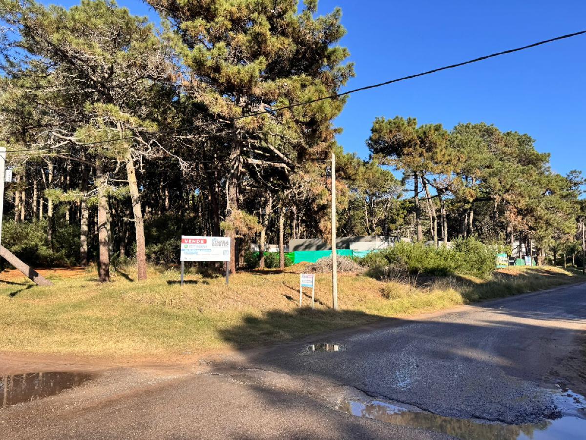 LOTE DE (543 m�) EN EXCELENTE ESQUINA