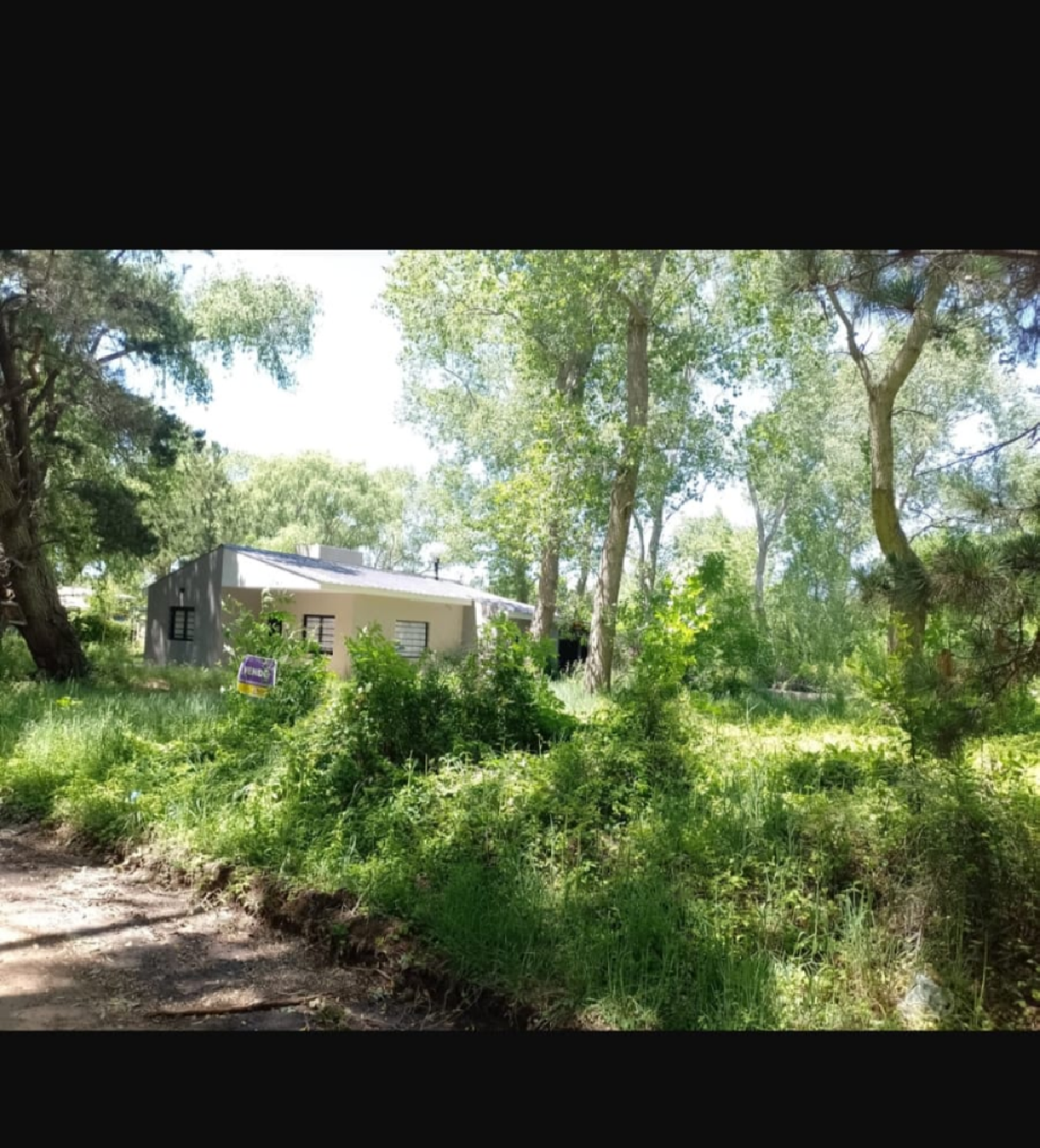 Lote las Gardenias entre malvones y pensamientos