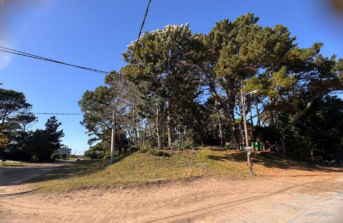 EXCELENTE LOTE COMERCIAL DE (572 M)
