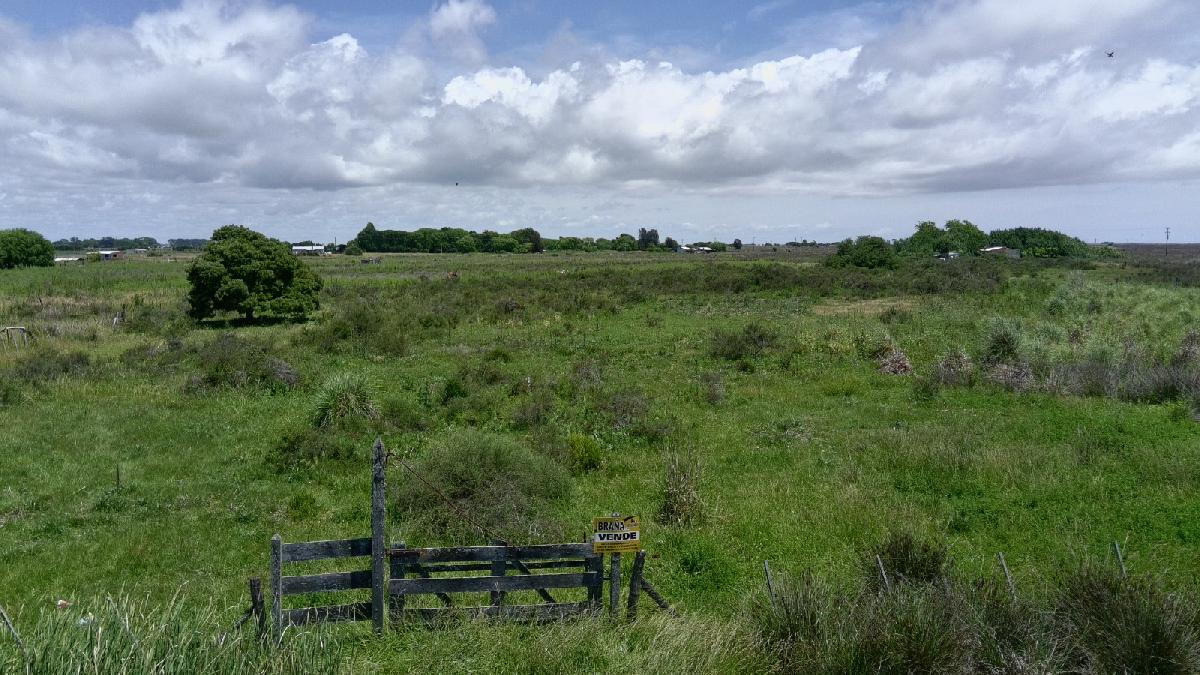 HERMOSA CHACRA - 14.000 Mts²  SOBRE AV XXII ( EL RELINCHO - LAS PALMERAS )