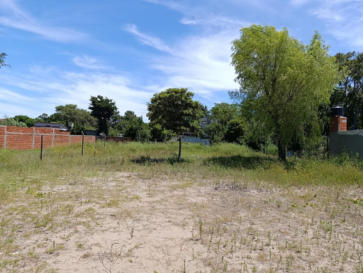 LOTE DE TERRENO CALLE 8 - TALA SUR