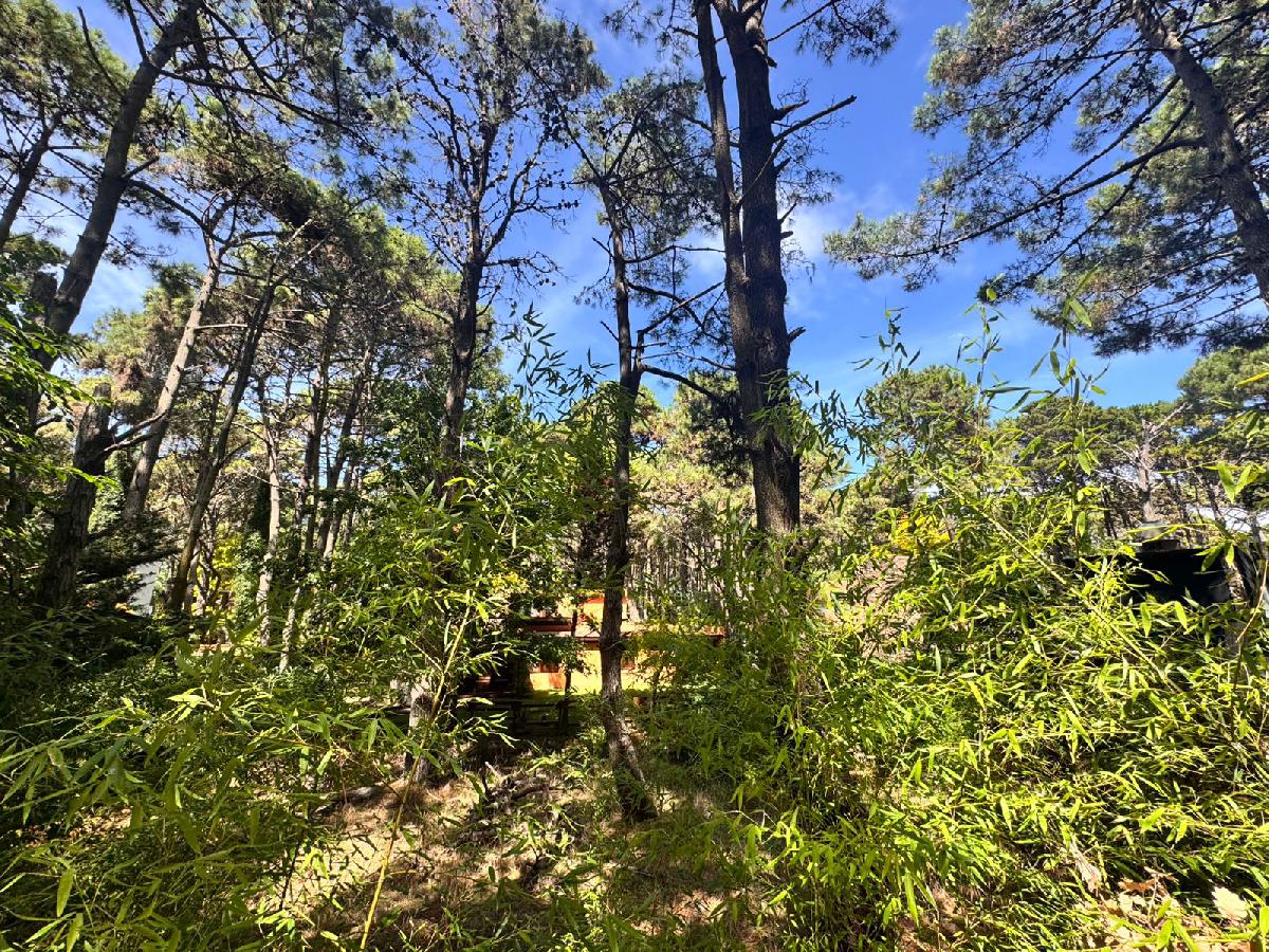 LOTE DE (480 M�) EN BARRIO LA RESERVA