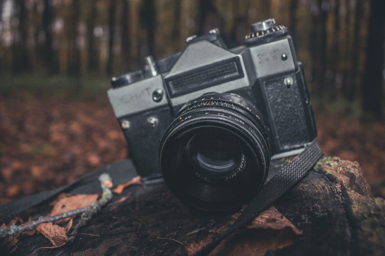 Muestra fotográfica: Retratos de concursos