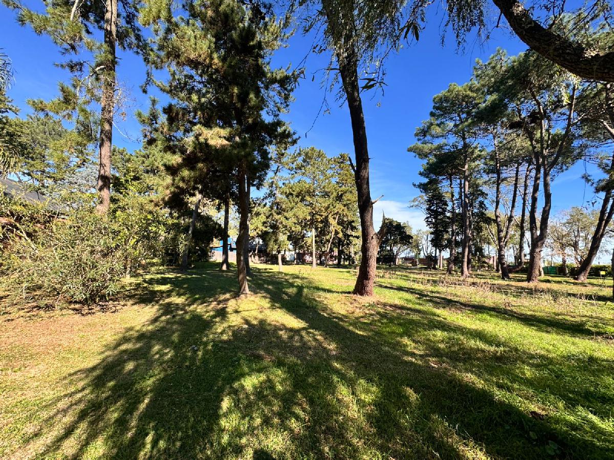 EXCELENTE LOTE DE (555 M�)