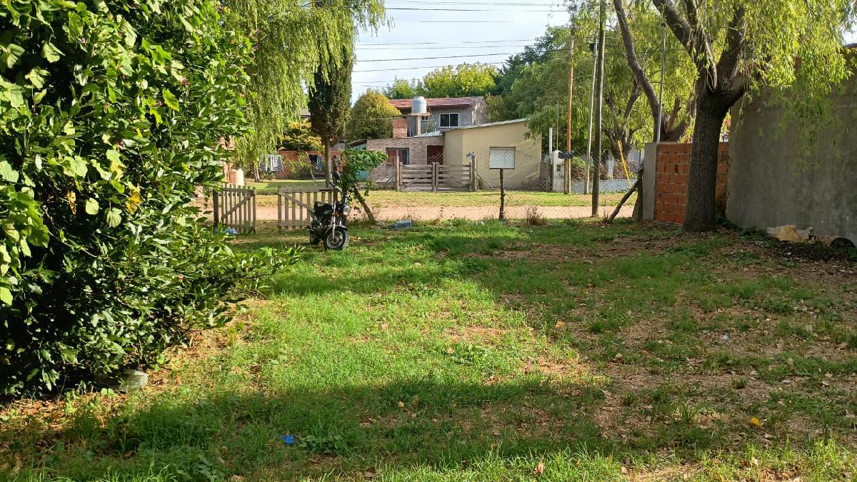 Foto 6