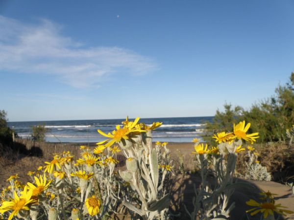 Día de la Primavera en Mar del Tuyú