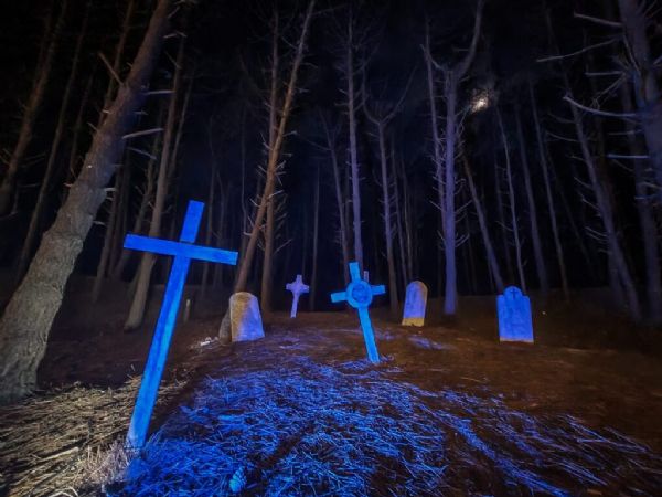 Festival de Cine de Terror en el Bosque en Pinamar