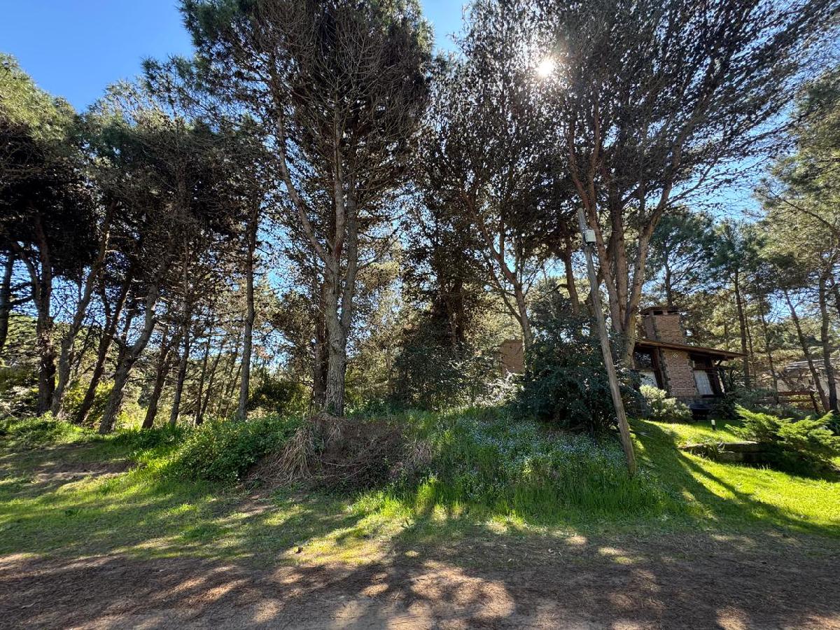 EXCELENTE LOTE DE 574 M�
