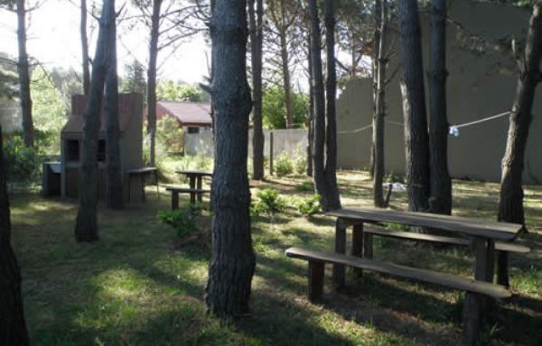 Foto 13
