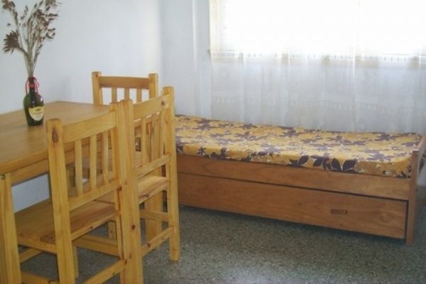 Departamentos sobre peatonal