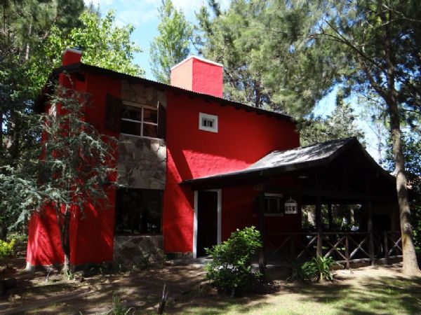 Casuarinas del Bosque