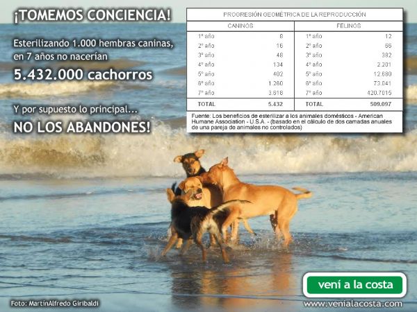 Castraciones gratuitas para perros en Mar de Aj