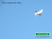 Ver la foto como postal