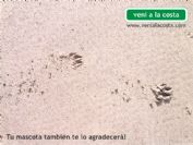Ver la foto como postal