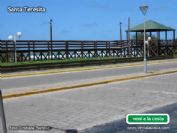Ver la foto como postal